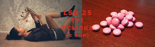 эйфоретик Баксан