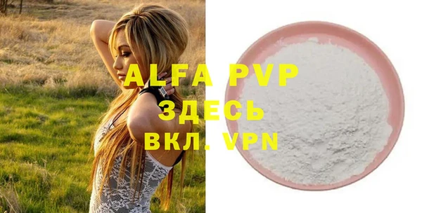 эйфоретик Баксан