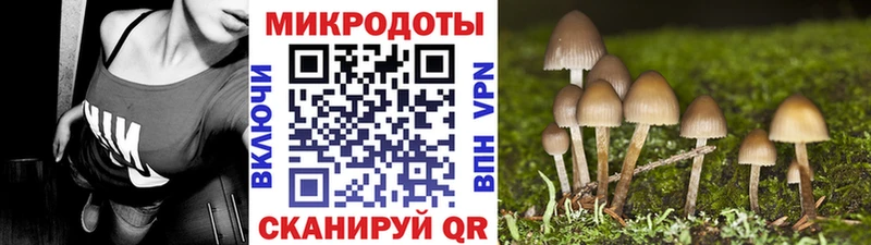 Галлюциногенные грибы прущие грибы Владивосток