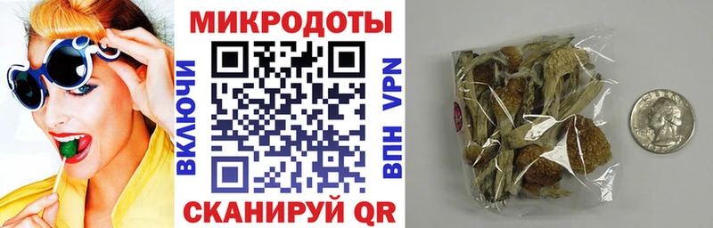 дарк нет какой сайт Владивосток Галлюциногенные грибы Cubensis